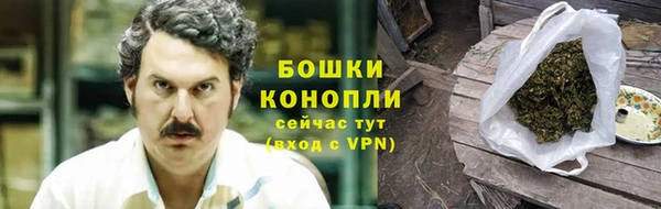гашик Белоозёрский